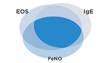 dupixent_bubbles_EOS_IgE_FeNO