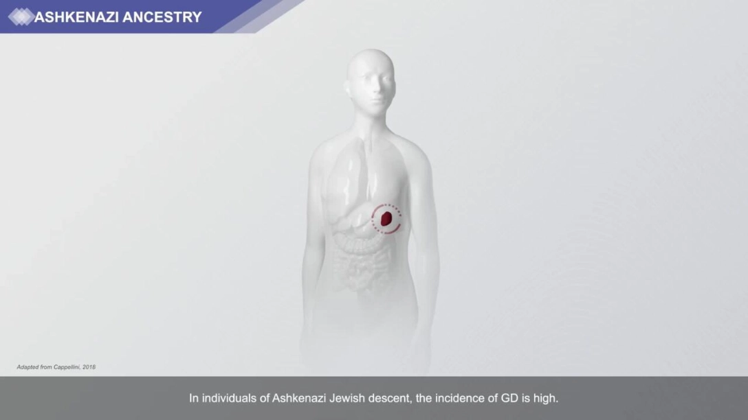 Cappellini_Adult_Diagnostic_Algorithm_Animation_approved_Sept_2019_D0519101