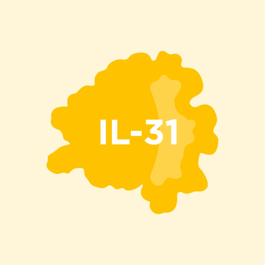 IL-31