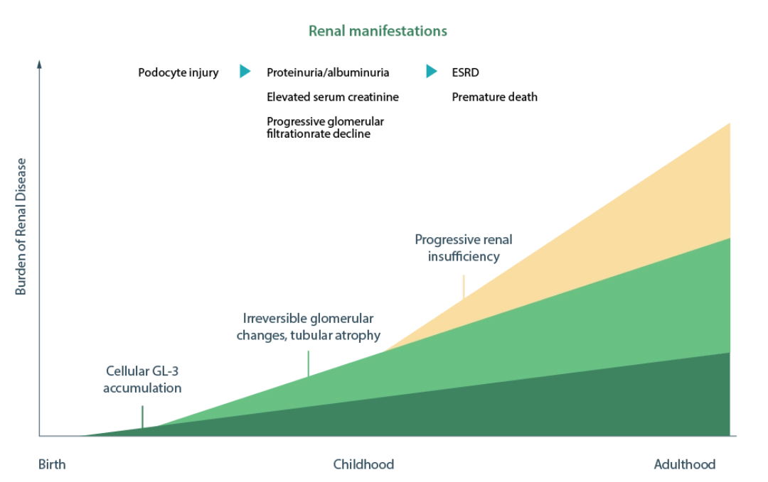 Renal_Manifestations_Graph