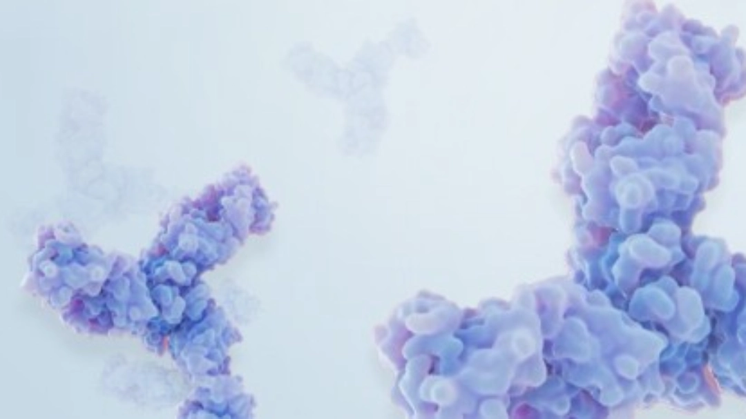 beyfortus-risk-control