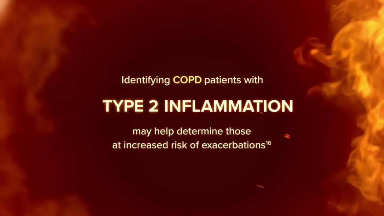 A deeper look at the inflammation behind exacerbations in COPD