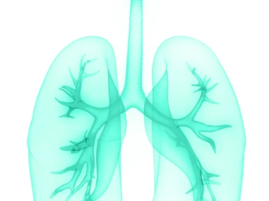 Type 2 Inflammation in the Pathophysiology of the Lower Airways