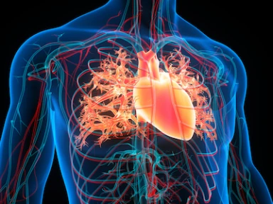 Approach for Patients with CAD: Focus on LDL-C Control