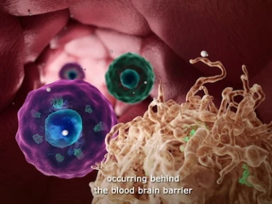 Discover the science behind Tolebrutinib: a BTK inhibitor designed to slow MS disability progression by modulating adaptive and innate immunity