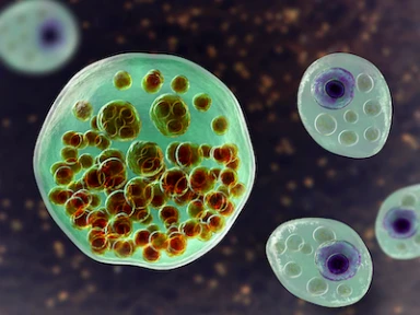 What Are the Signs and Symptoms of ASMD?