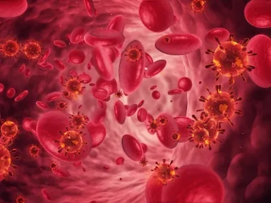 Impact of anemia on long-term clinical outcomes in venous thromboembolism: Findings from Garfield-VTE registry