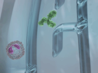 Type 2 Inflammation may play a role in Prurigo Nodularis Pathophysiology¹