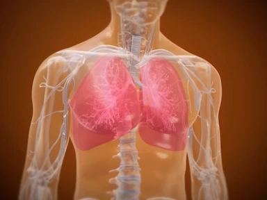 Dupixent® (dupilumab) Mechanism of Action