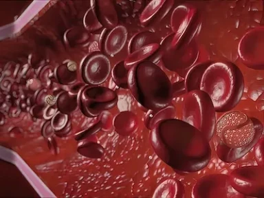 Public health recommendations for Lp(a) measurement