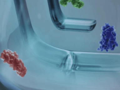 There is Significant Unmet Need in the Management of PN¹