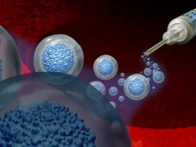 Updated European Society of Blood and Marrow Transplantation consensus recommendations for GVHD prophylaxis and management in hematological malignancies after stem-cell transplantation