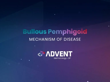 Bullous Pemphigoid Mechanism of Disease Animation Storyboard