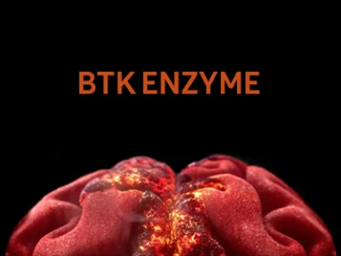  BTK Enzyme