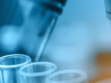 Understanding Cardiovascular Risk and Prevention: Insights from Professor Pasquale Perrone-Filardi