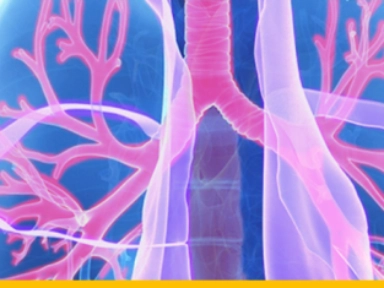 Asthma Remission: A Paradigm Shift in Treatment Goals