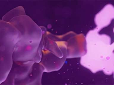 Videotallenne: Korkea-annoksisen influenssarokotteen (Efluelda Tetra) oikea ja turvallinen käyttö hoitajan näkökulmasta