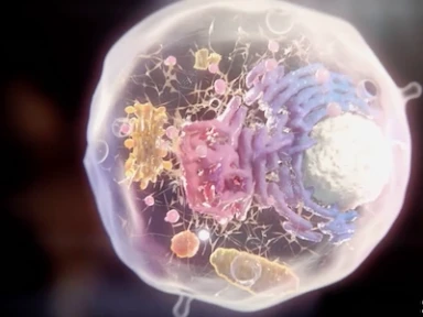 How To Diagnose LSDs?