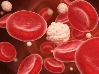 ACC/AHA vs ESC/EAS LDL–C recommendations for residual risk reduction in ASCVD: A simulation study from Da Vinci