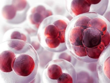 PCSK9 Inhibitors in Real World Practice