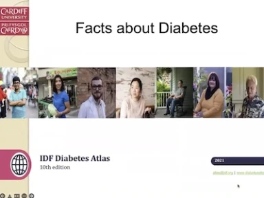 Type 2 Diabetes Cost Effective Management