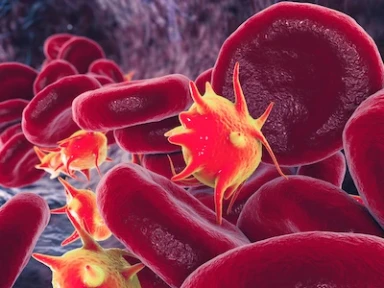 Low risk of VTE Following Early Pregnancy Loss in Pregnancies Conceived by IVF