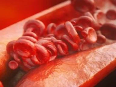 Long-term effectiveness and safety of statin therapy