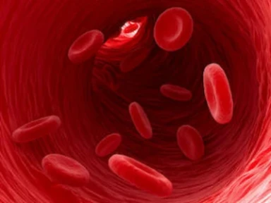 Switching From Statin Monotherapy to Statin/Ezetimibe Combination