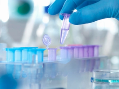 VTE Safety Zone: Assessing the VTE Risk in Hospital and Beyond