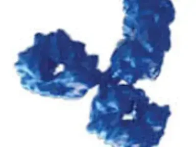 About Type 2 Inflammation – Asthma