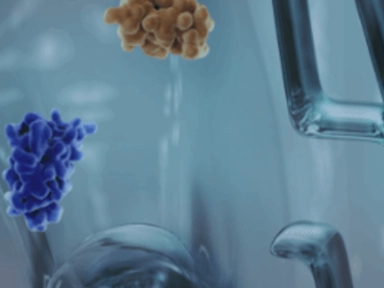 There is significant unmet need in the management of PN¹