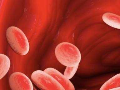 Achievement of lipid modification goals with Statins & Ezetimibe