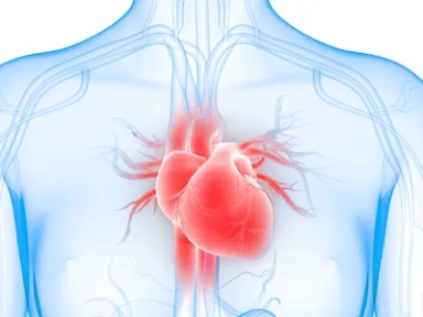 Possible Challenges Post One Year of ESC/EAS Guidelines
