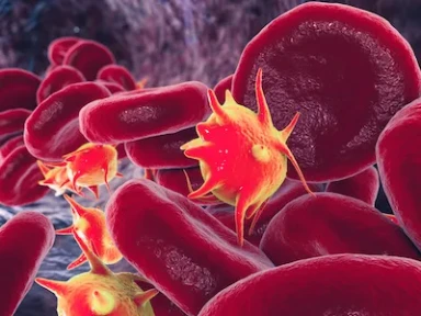 Low risk of VTE Following Early Pregnancy Loss in Pregnancies Conceived by IVF