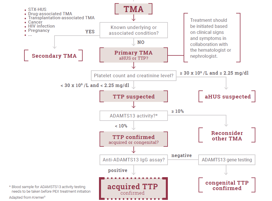 Why TTP can be difficult to diagnose? TTP is rare and presents similarly to other thrombotic microangiopathies (TMAs), making it a challenge to diagnose. All TMAs result in thrombosis of capillaries and arterioles due to endothelial injury.2,3