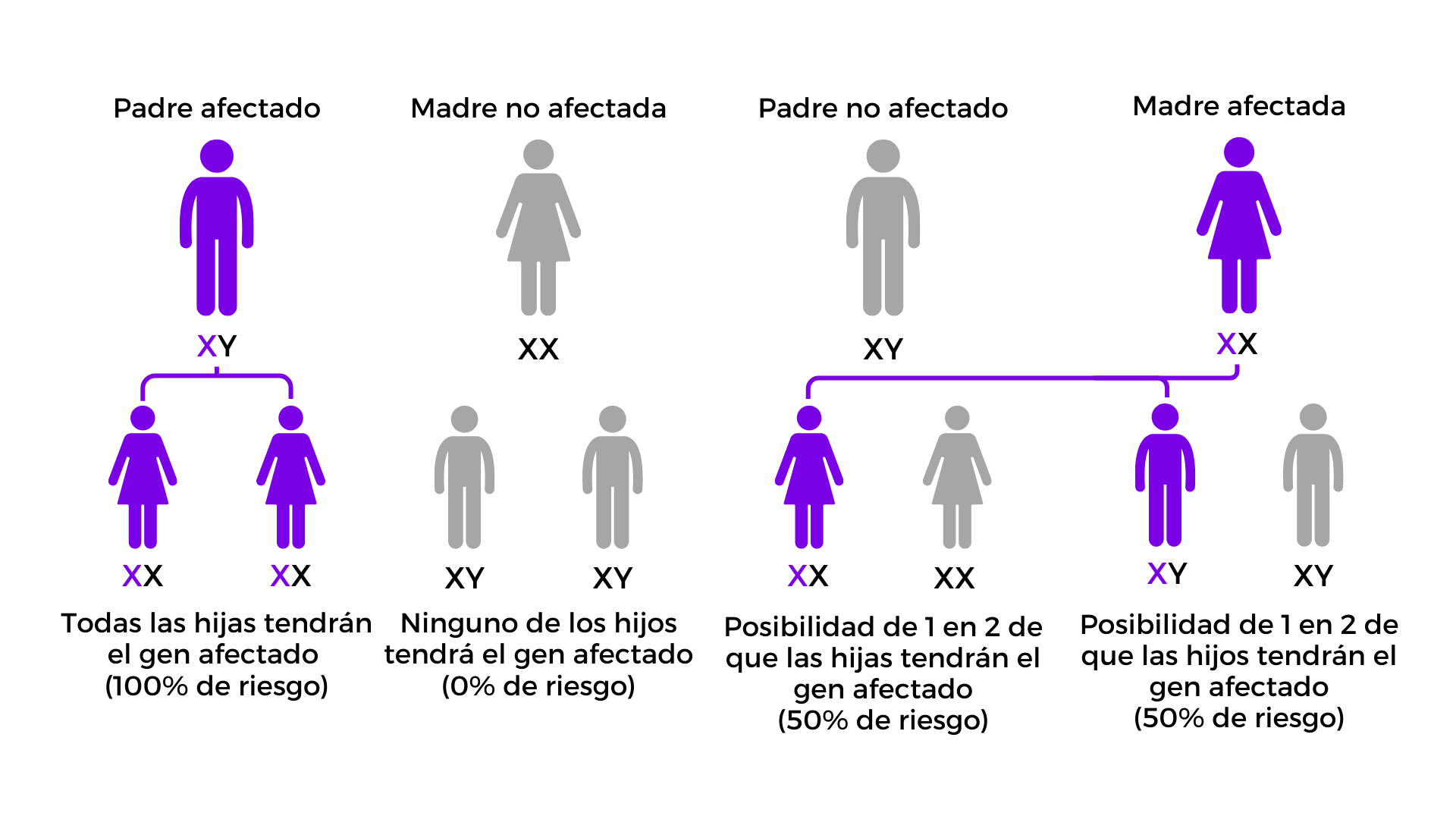 Esquema que muestra cómo se hereda el gen de padres a hijos