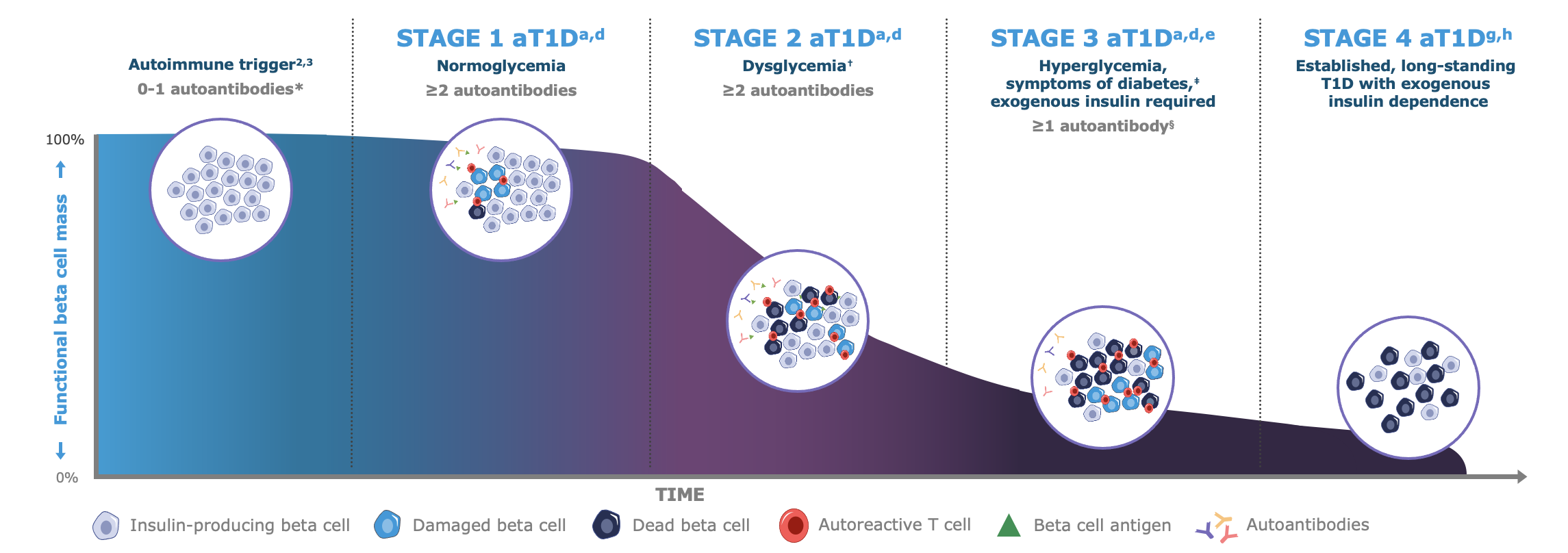 stage progression of aT1D“