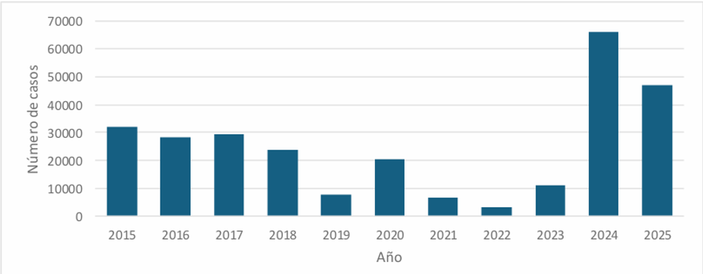 Grafica casos reportados 2015 a 2024