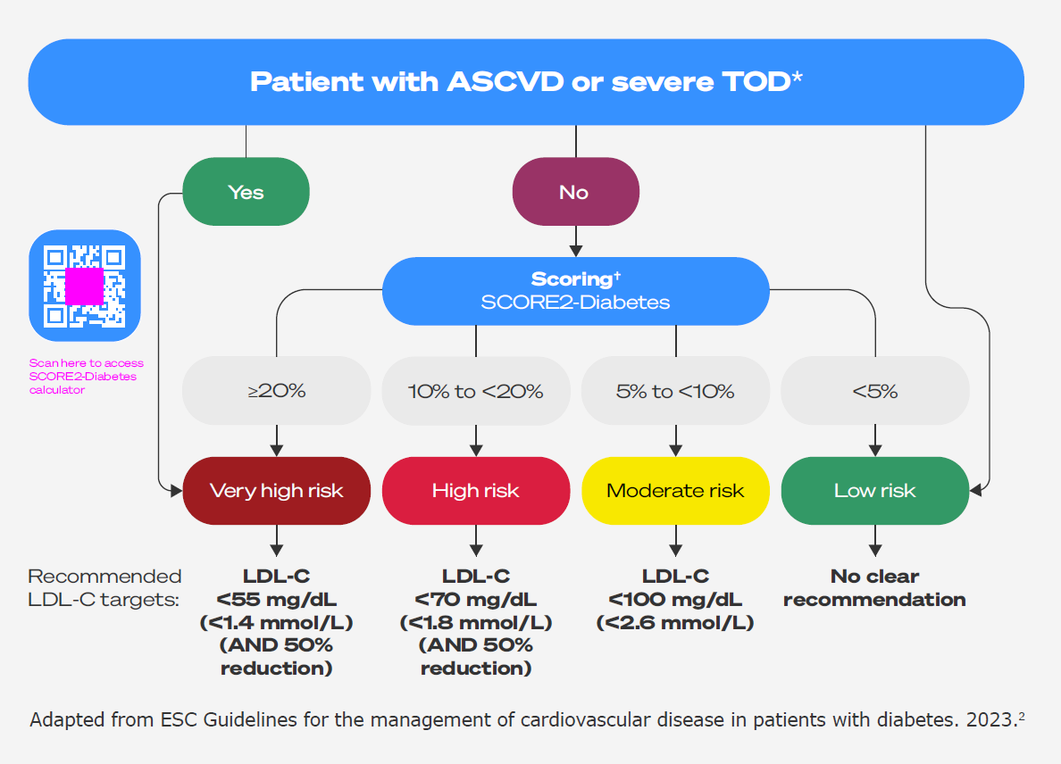 CV risk assessment
