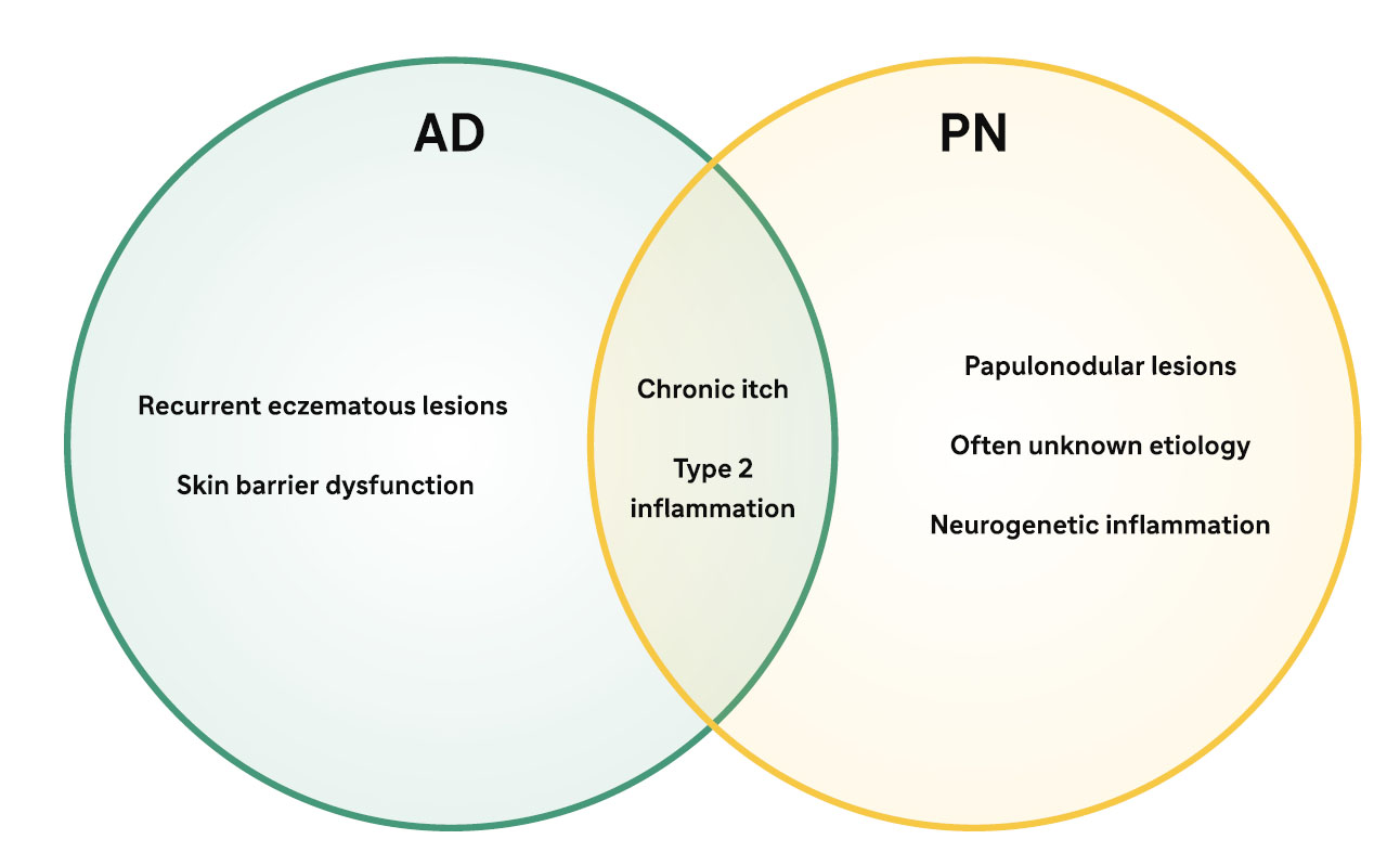 The Role of Type 2 Inflammation in AD and PN