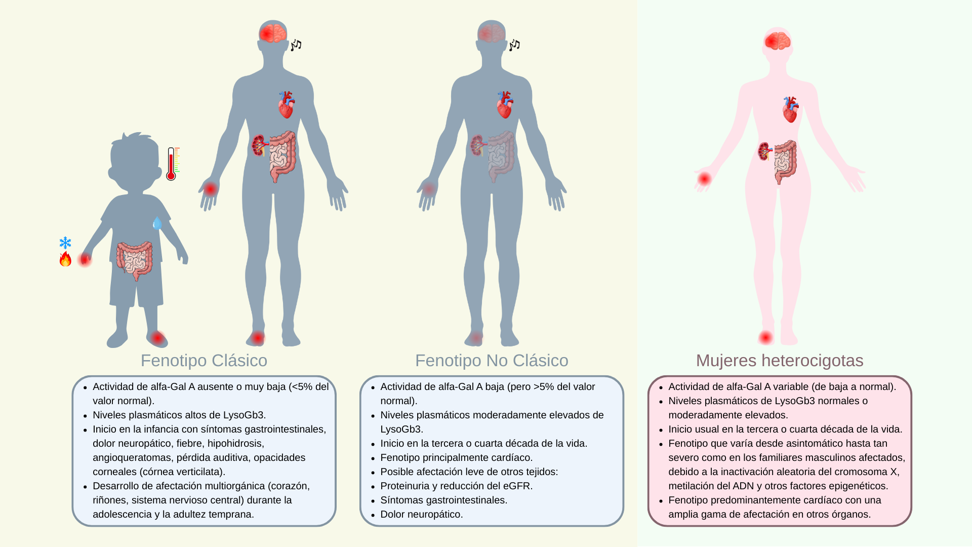 Diferencias de fenotipo clásico y no clásico en hombres y en mujeres heterocigotas