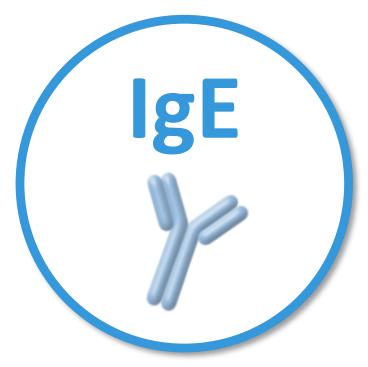 IgE